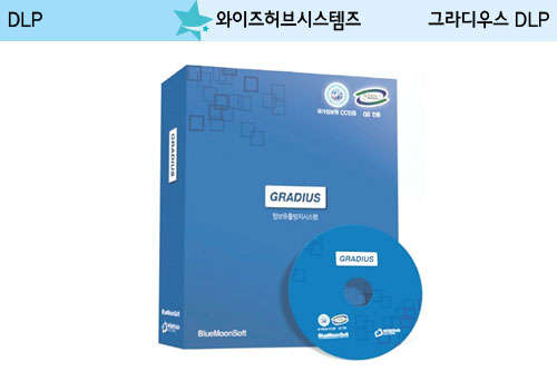 와이즈허브시스템즈, 단계별 보안 점검… 실시간 유출 봉쇄