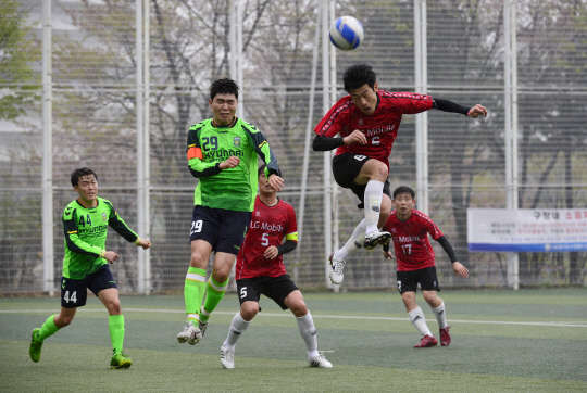 전통의 몰락… 신흥강호 등장 `수중전`이 갈랐다