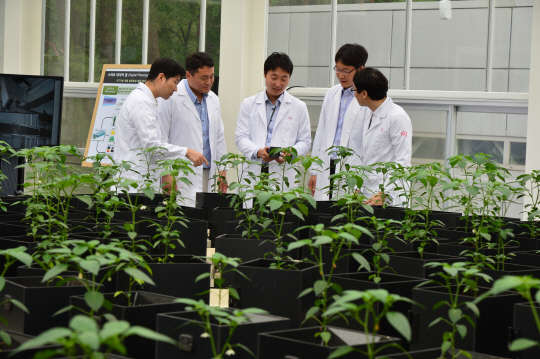 국산 스마트팜 구축으로 농산업 생태계 육성