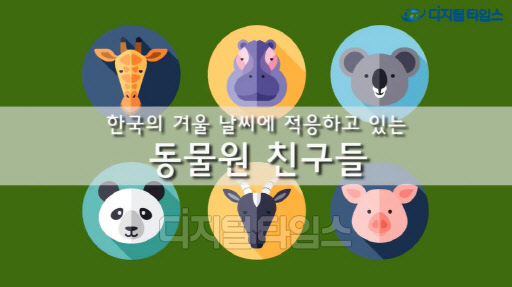 [기획동영상] 서울동물원 친구들의 겨울나기