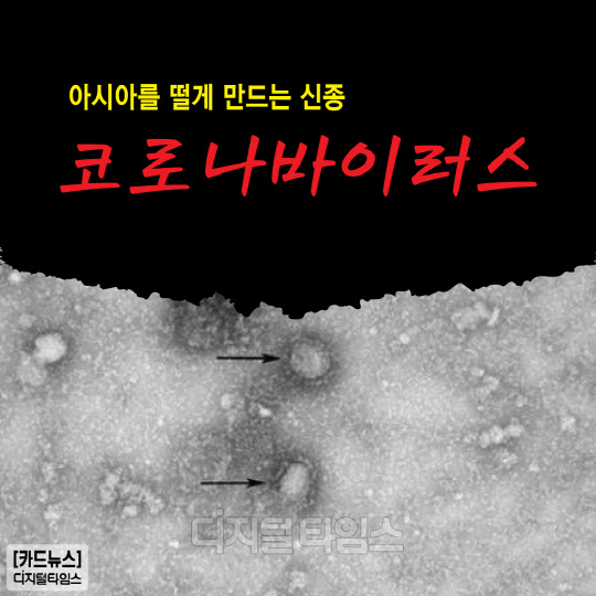 [카드뉴스]아시아를 떨게 만드는 신종 코로나바이러스
