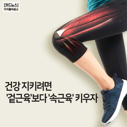 [카드뉴스]건강 지키려면 `겉근육`보다 `속근육` 키우자