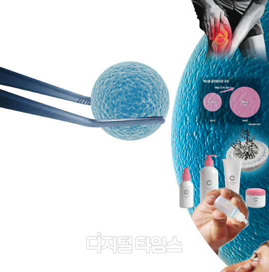 [THE BIO] 관절염·신부전약, 화장품까지… 바이오 황금알 `엑소좀` 잡아라